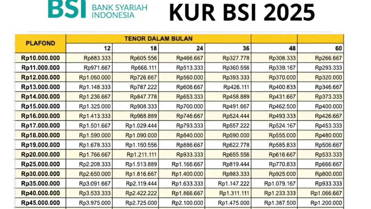 KUR BSI Rp50 Juta Tanpa Jaminan, Angsuran Cuma Rp 140 Ribuan Per Hari KUR BSI Rp50 Juta Tanpa Jaminan, Angsuran Cuma Rp 140 Ribuan Per Hari