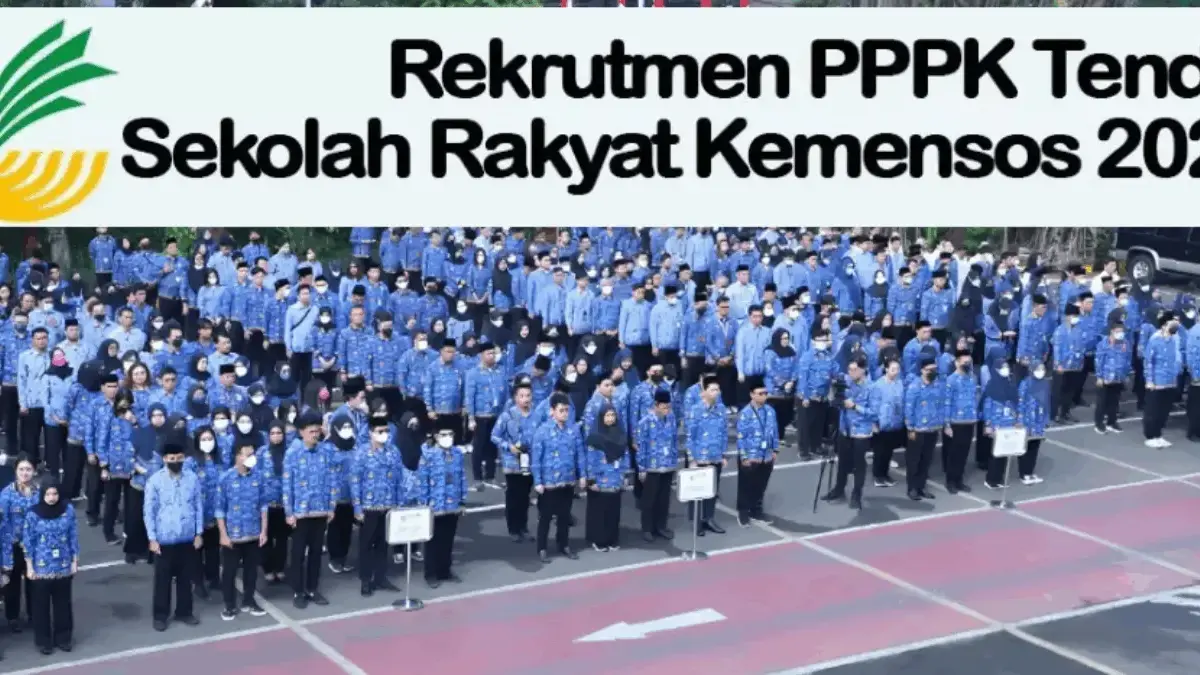 PPPK Tendik 2025 Buka 3.003 Formasi untuk Fresh Graduate dan Lulusan SMA, Ini Jadwal dan Alur Seleksinya! PPPK Tendik 2025 Buka 3.003 Formasi untuk Fresh Graduate dan Lulusan SMA, Ini Jadwal dan Alur Seleksinya!