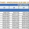 KUR BRI Mikro 2025: Plafon Rp 60 Juta, Suku Bunga 6% Bikin Cicilan Makin Ringan