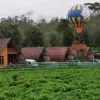 Selain Bisa Berendam di Air Panas Walini, Ada Dusun Strawbery Yang Bisa Memetik Langsung