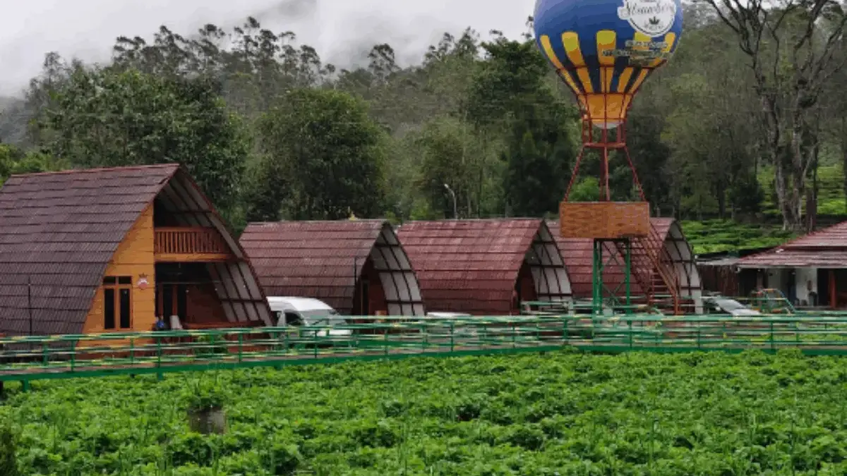 Selain Bisa Berendam di Air Panas Walini, Ada Dusun Strawbery Yang Bisa Memetik Langsung Selain Bisa Berendam di Air Panas Walini, Ada Dusun Strawbery Yang Bisa Memetik Langsung