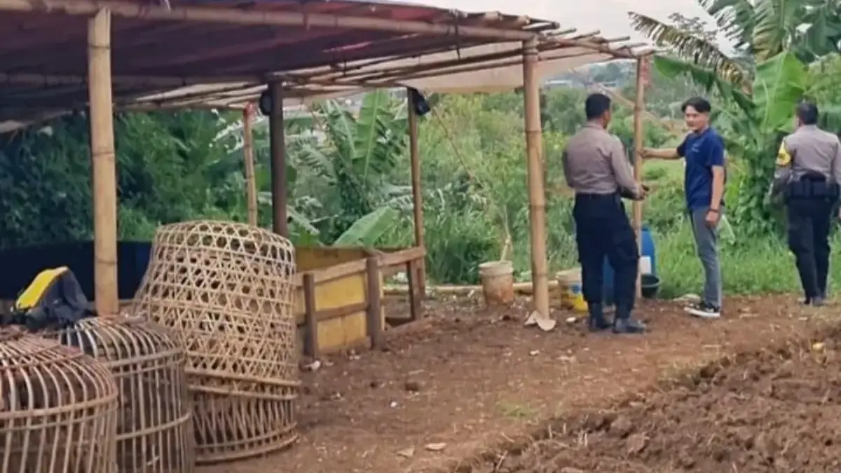 Polisi Gerebek Arena Sabung Ayam di Ciluncat Kabupaten Bandung, Pelaku Kabur Tinggalkan 8 Motor