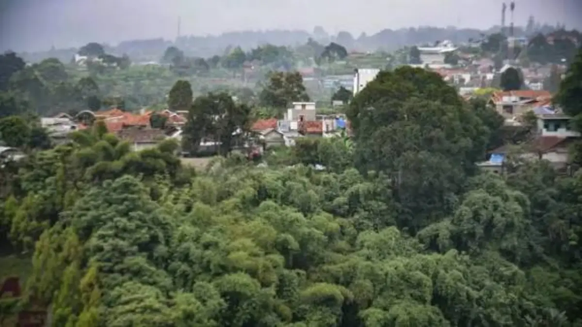 Cegah Bencana Hidrometeorologi, Pengamat Desak Pemkot Bandung Batasi Izin Pembangunan di KBU