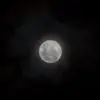 BMKG Lakukan Pengamatan Purnama Pirage, Fenomena Supermoon Bisa Akibatkan Air Pasang Lebih Tinggi