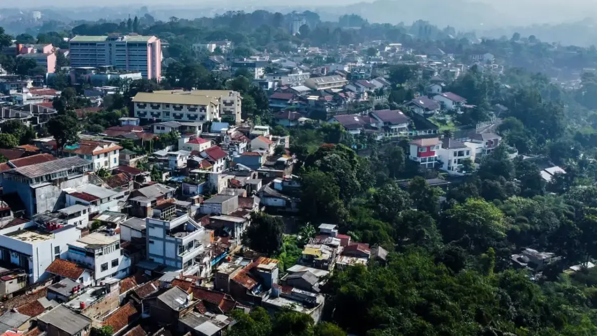 Hutan di Jabar Rusak Parah, Dedi Mulyadi Klaim Siap Gelongtorkan Rp300 Miliar untuk Pulihkan Lingkungan! Semua Hutan di Jabar Rusak, KDM Klaim Siap Gelontorkan Dana Ratusan Miliar untuk Pemulihan Lingkungan