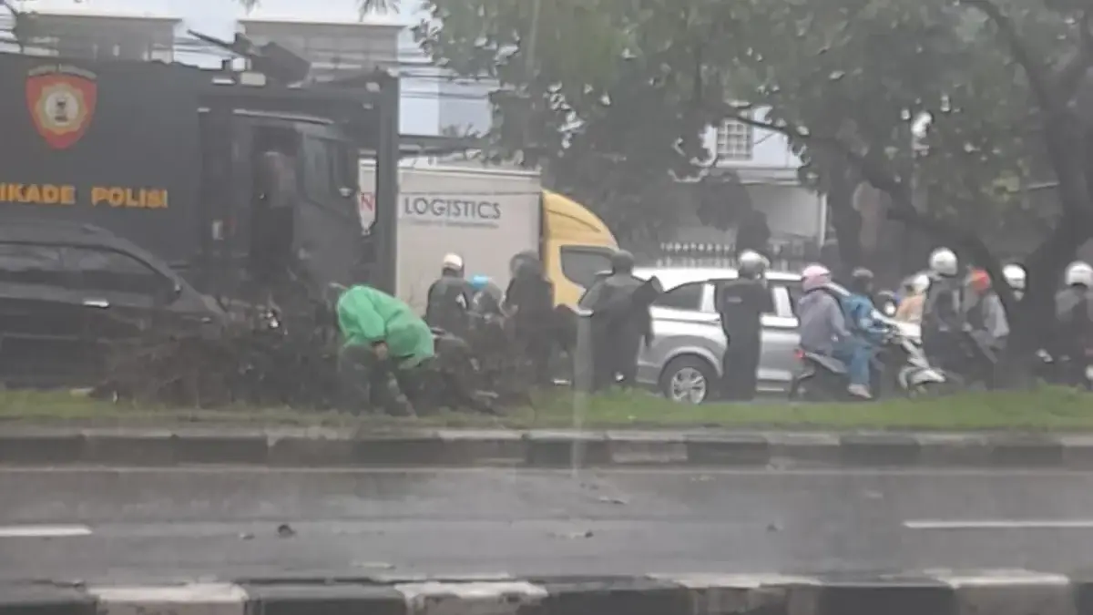 Pohon tumbang di depan kantor Harian Umum Jabar Ekspres