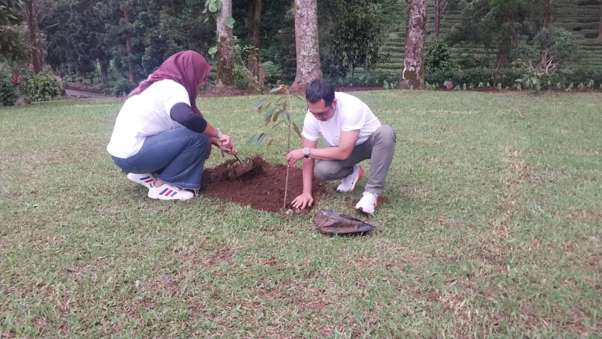 Mitigasi Bencana, Kejari Kabupaten Bogor Tanam Pohon di Kawasan Puncak