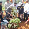 Pemulihan Lingkungan Dilakukan, Kabupaten Sumedang Tanam 30 Ribu Pohon Serentak
