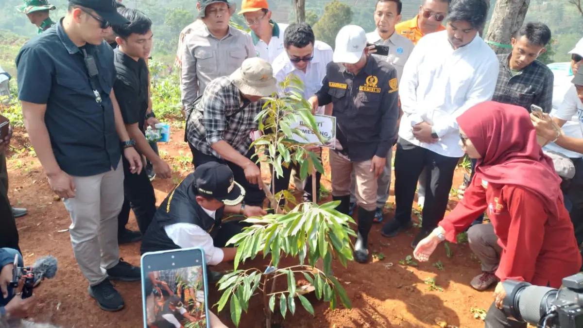 Sumedang Tanam 30 Ribu Pohon, Bupati Tekankan Makna Pemulihan Lingkungan dan Warisan Budaya Pemulihan Lingkungan Dilakukan, Kabupaten Sumedang Tanam 30 Ribu Pohon Serentak
