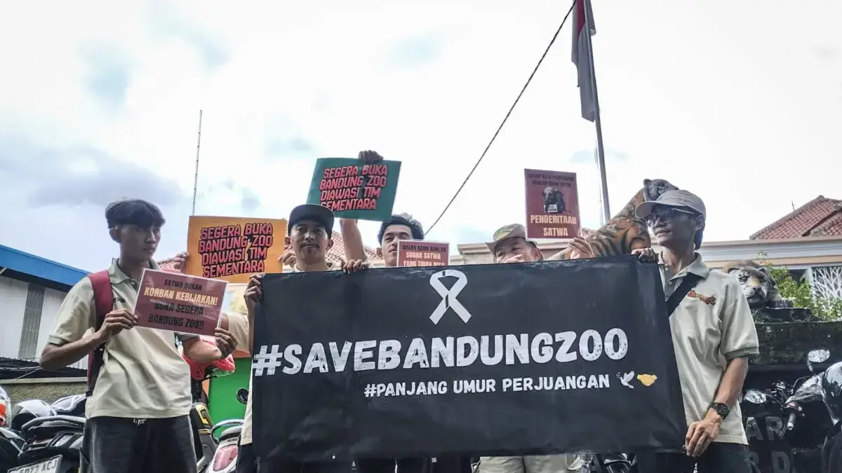 Usai Digeruduk Karyawan Bandung Zoo, BKSDA Pastikan Pakan Satwa Dicover Kemenhut Digeruduk Karyawan Bandung Zoo, BKSDA Pastikan Pakan Satwa Dicover Kemenhut
