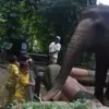 Gelar Aksi di BKSDA Jabr, Serikat Pekerja Bandung Zoo Beberkan Kondisi Imbas Penutupan 