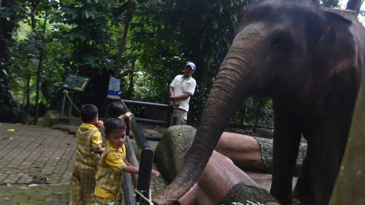 Gelar Aksi di BKSDA Jabar, Serikat Pekerja Bandung Zoo Beberkan Kondisi Imbas Penutupan Gelar Aksi di BKSDA Jabr, Serikat Pekerja Bandung Zoo Beberkan Kondisi Imbas Penutupan