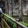 Organisasi Pelindung Satwa Kembali Sorot Krisis di Bandung Zoo