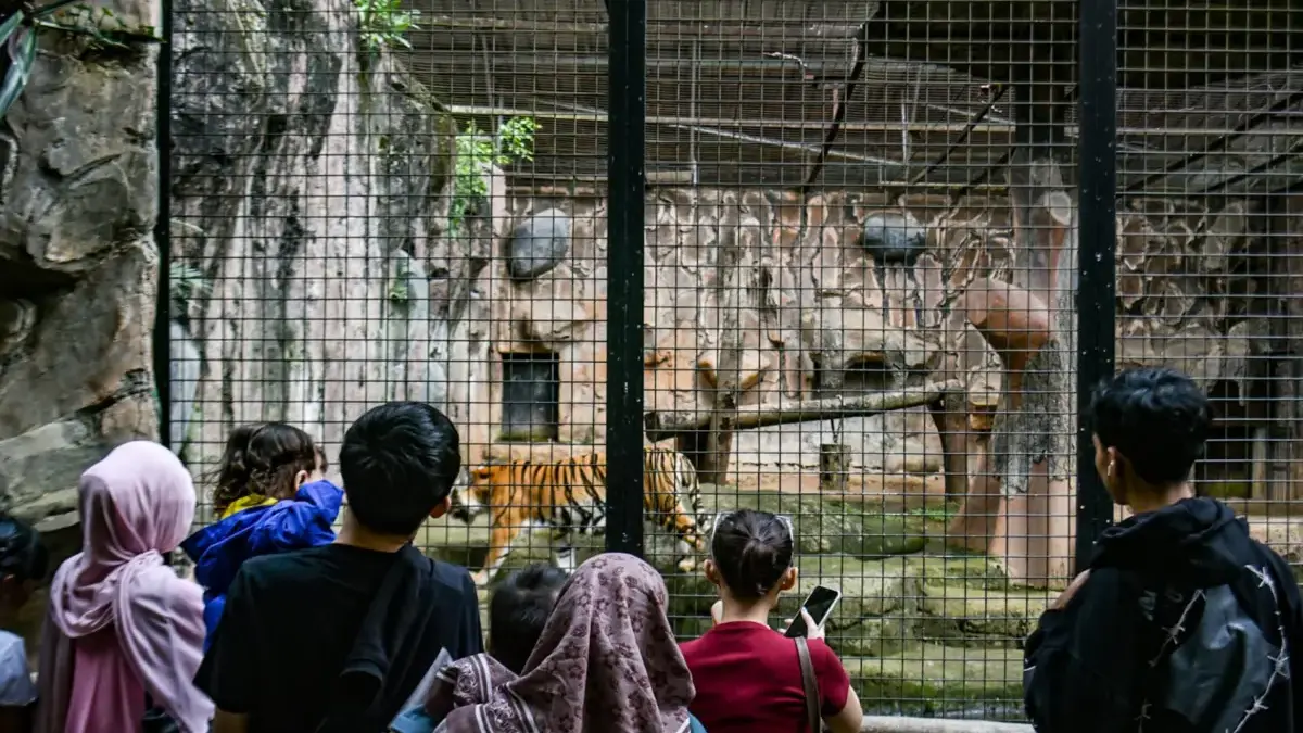 Bandung Zoo Sempat Ditutup, Manajemen Buka Gerbang Lantaran Animo Pengunjung Tinggi