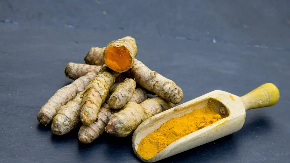 Rekomendasi Obat Herbal untuk Maag Kronis dan Asam Lambung, Aman untuk Jangka Panjang