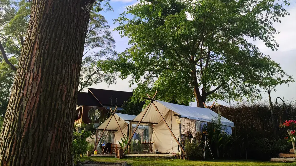 Rekomendasi Tempat Glamping di Bandung, Cocok untuk Habiskan Malam Tahun Baru Bersama Keluarga dan Sahabat Glamping di Bandung
