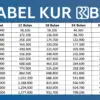 KUR BRI 2025 Akhir Tahun: Pinjaman Rp25 Juta dengan Cicilan Murah Meriah untuk UMKM
