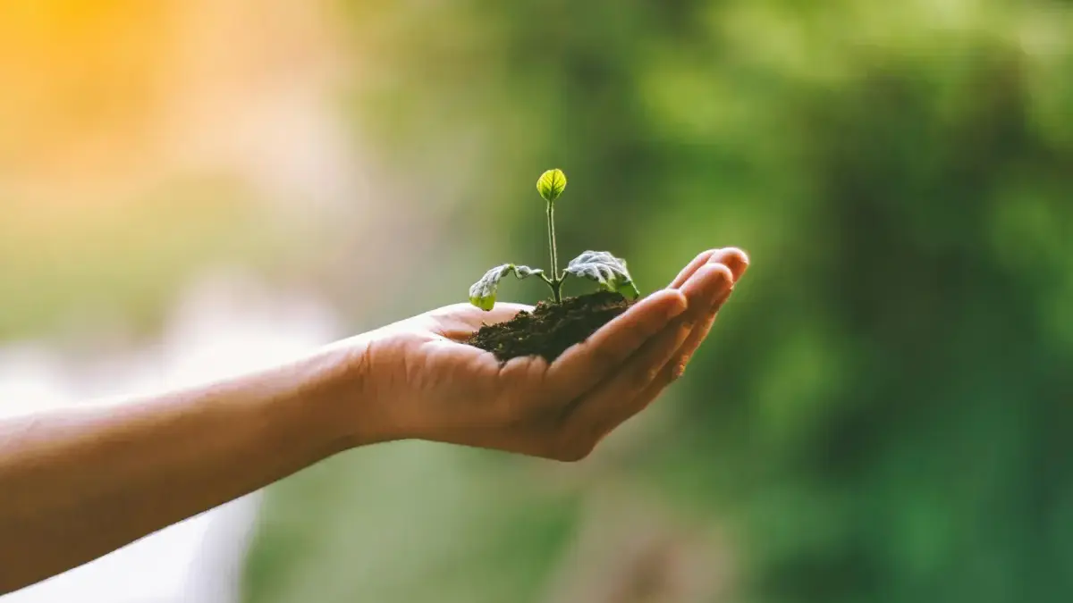 Rencana KDM Soal Tanam Pohon, Komisi III DPRD Kabupaten Bogor Sebut Ini Upaya Percepatan Rehabilitasi Hutan Rencana KDM Soal Tanam Pohon, Komisi III DPRD Kabupaten Bogor Sebut Ini Upaya Percepatan Rehabilitasi Hutan