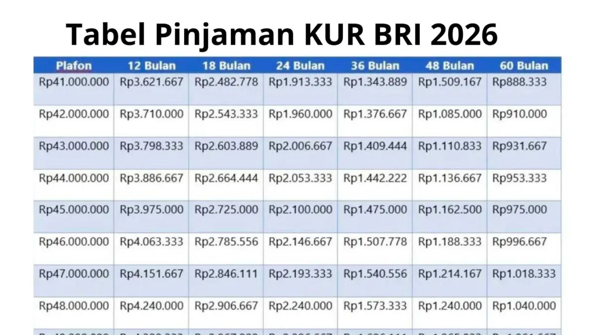 Tabel KUR BRI 2026 Terbaru dengan Pinjaman Rp 50 Juta, Cicilan Mulai 36 Ribuan!