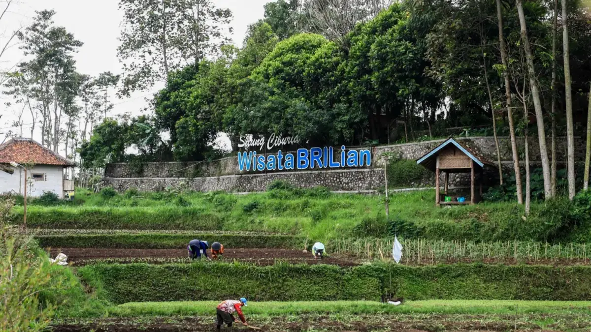 Jangkau 5.245 Desa BRILiaN, BRI Perluas Dukungan bagi Pengembangan Ekonomi Desa