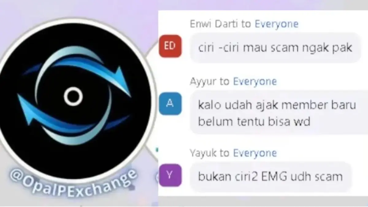Komentar member Opalp Exchange yang mulai curiga aplikasi Scam