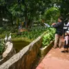Pengunjung melihat koleksi satwa di Bandung Zoo, Kota Bandung, Jumat (2/1). Bandung Zoo dibuka terbatas tanpa