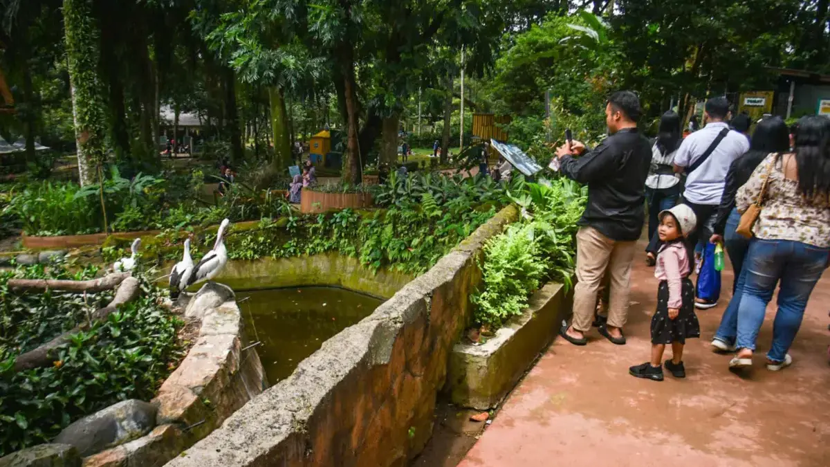 Di Tengah Krisis Internal, Pengunjung Harap Bandung Zoo Tak Ditutup Pengunjung melihat koleksi satwa di Bandung Zoo, Kota Bandung, Jumat (2/1). Bandung Zoo dibuka terbatas tanpa