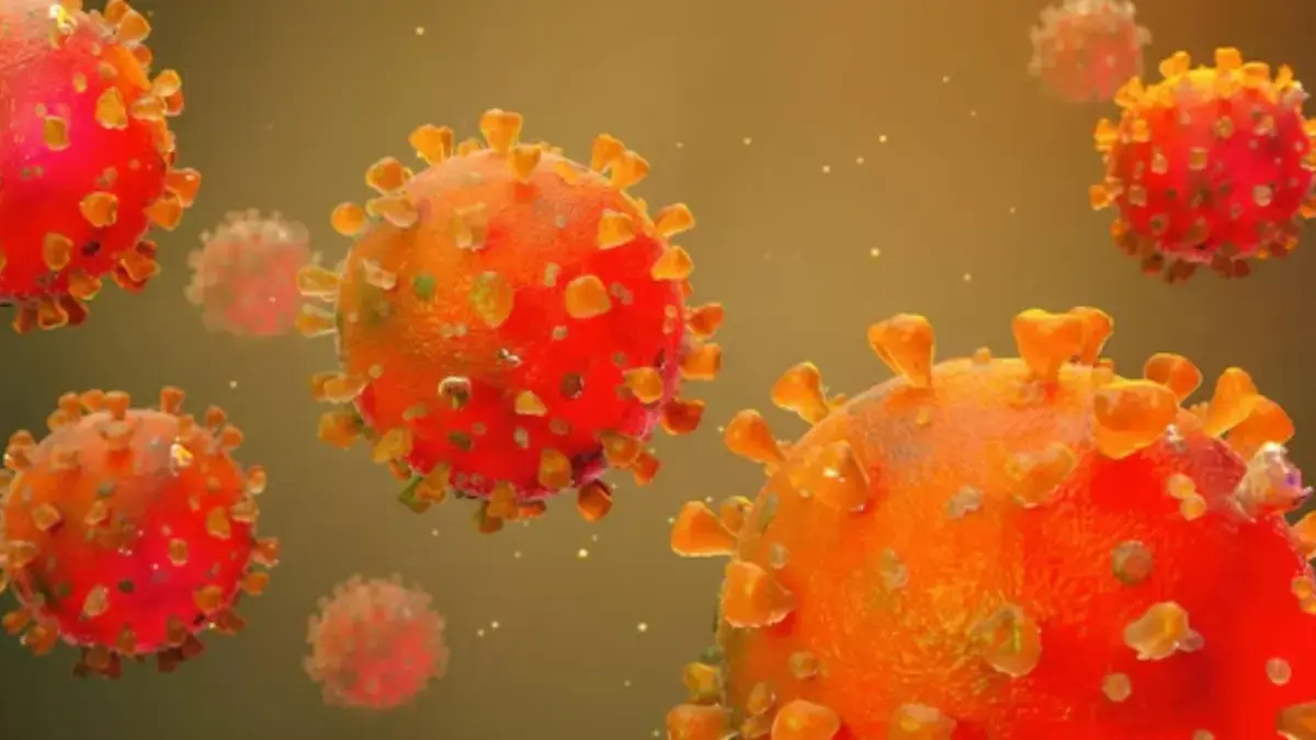 ILUSTRASI virus super flu yang sudah memakan korban di Bandung