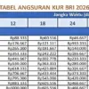 Update Terbaru KUR BRI Januari 2025, Ini Skema Cicilan Ringan untuk UMKM