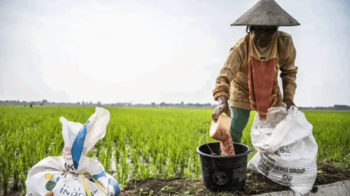 Sistem Distribusi Siap Sejak Awal Tahun 2026, Petani Langsung Tebus Pupuk Subsidi