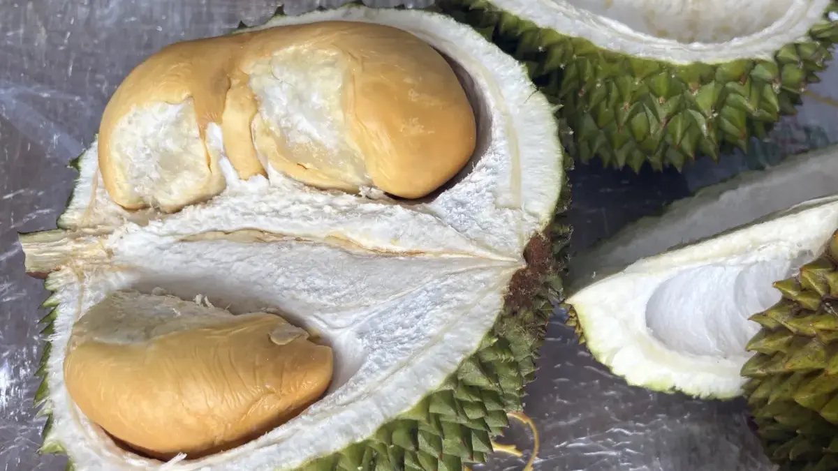Durian Musang King.
