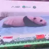 Bayi Panda Pertama Lahir di Indonesia, Tumbuh Sehat dengan Nama Satrio Wiratama 