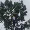 PLN Icon Plus dan Pemkot Bandung Bersinergi Menata Jaringan Fiber Optik demi Layanan Andal