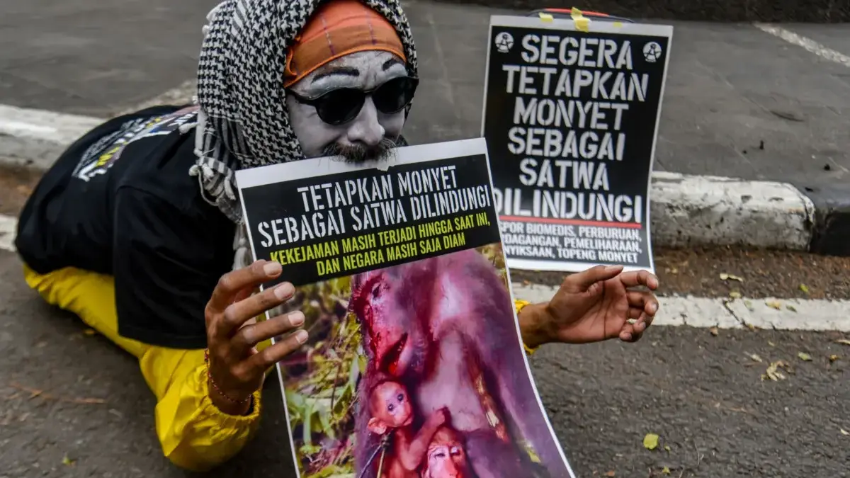 Pantomim Wanggi Hoed di Simpang Braga, Serukan Perlindungan Primata