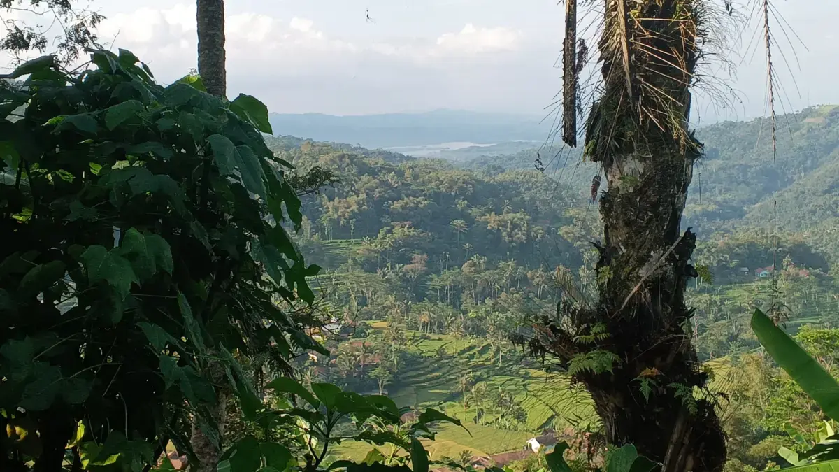 Ancaman Longsor di Dago Disorot Pemkot Bandung