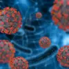 Jepang Keluarkan Peringatan Virus Nipah untuk Warganya di India