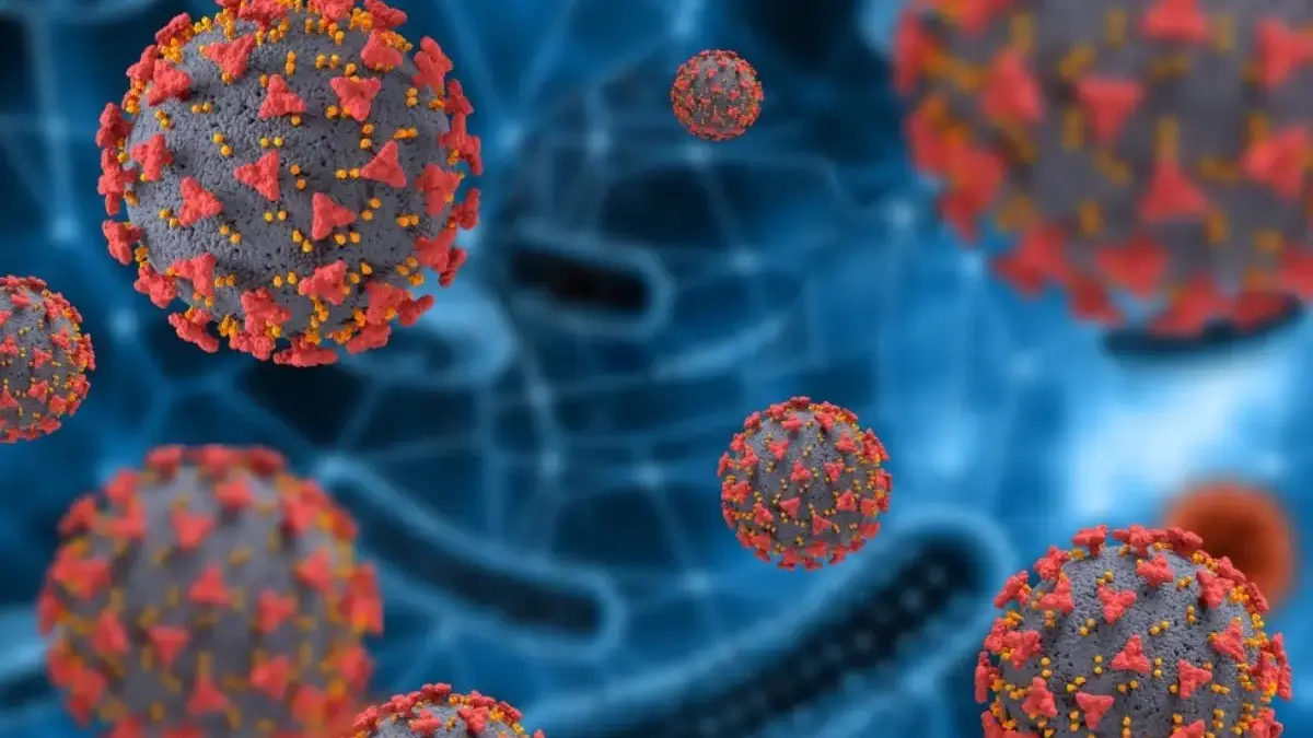 Jepang Keluarkan Peringatan Virus Nipah untuk Warganya di India