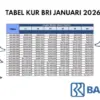 KUR BRI 2026 Pinjaman 50 – 55 Juta dengan Cicilan Super Murah, Ini Syarat dan Tabel Angsurannya