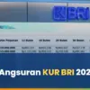 Simulasi Angsuran KUR BRI 2026 Rp20 Juta–Rp150 Juta Berdasarkan Omzet Usaha