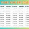 Mulai Usaha Lewat Pinjaman KUR BRI 2026 Rp1 Juta-Rp10 Juta, Ini Cicilan Ringannya!