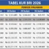 Pinjaman KUR BRI 2026 Plafon 1–100 Juta untuk UMKM Perintis, Cicilan Ringan Jadi Solusi Modal