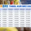 Tabel KUR BRI 2026 Terbaru Pinjaman 5 Juta – 50 Juta, Cicilan Ekstra Ringan, Pelaku UMKM Cek Detailnya!