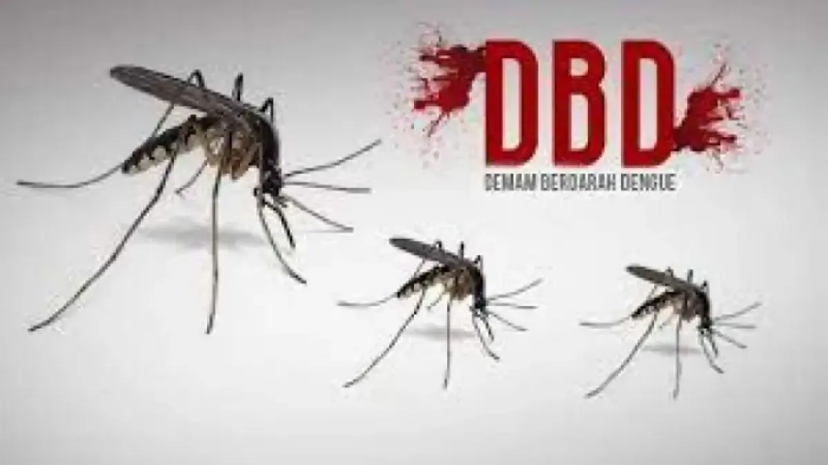 Ilustrasi DBD/Foto: Istimewa