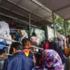 Libur Tahun Baru, Ribuan Warga Padati Bandung Zoo dan Galang Donasi Satwa