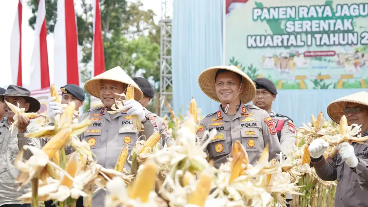 Dukung Ketahanan Pangan Nasional, Polda Jabar Panen Ratusan Ton Jagung