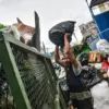 Sampah Menumpuk di TPS Pasar Ancol, Warga Keluhkan Bau Menyengat hingga Ganggu Akses Jalan