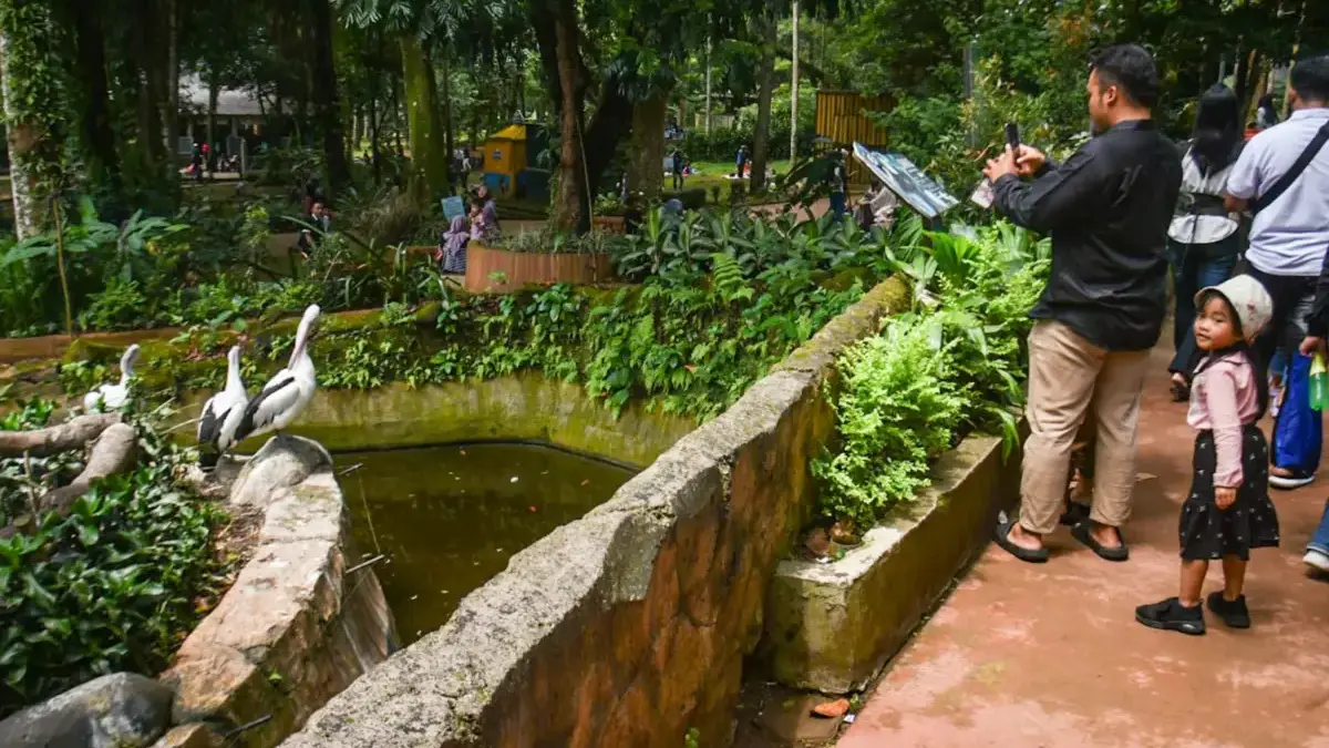 Soal Masa Depan Kebun Binatang Bandung, Begini Kata Wali Kota Soal Masa Depan Kebun Binatang Bandung, Begini Kata Wali Kota