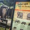 Soroti Ada Dugaan Stres Satwa Bandung Zoo, Geopix Desak Pengelola dan Pemerintah Lakukan Evaluasi Menyeluruh