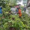 Dahan pohon patah akibat cuaca ekstrem terjadi di Jalan Sholeh Iskandar, RT 02 RW 10, Kelurahan Kedungbadak