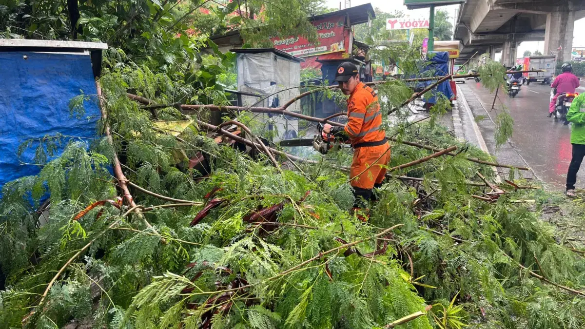 Hujan Deras Sebabkan Dahan Pohon Patah, Trotoar Jalan Sholeh Iskandar Sempat Tertutup! Dahan pohon patah akibat cuaca ekstrem terjadi di Jalan Sholeh Iskandar, RT 02 RW 10, Kelurahan Kedungbadak